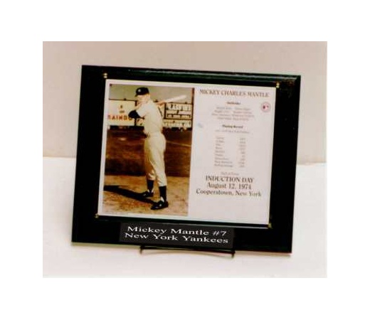 8X10 Deluxe Photo Plaque Kit Holds Horizontal or Vertical Photo - 10.5X13 Plaque Fits an 8X10 Photo 2 Line Engraved Nameplate